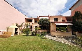 Apartmani Koin